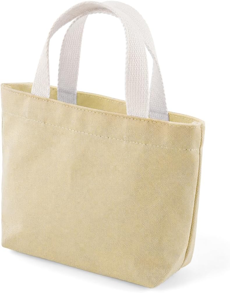 Small Solid Color Canvas Tote Bag for Women