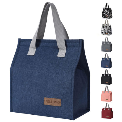 TELLUMO Insulated Lunch Bag for Men Women, Large Reusable Leakproof Lunch Box Container, Small Portable Thermal Snack Bag, Reusable Travel Office Work Beach Cooler Tote Bag for Adults, Grey